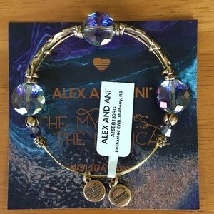 ❌SOLD❌ Alex and Ani Enchanted Mulberry Bracelet